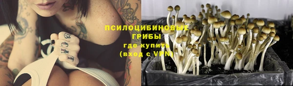 стафф Лихославль