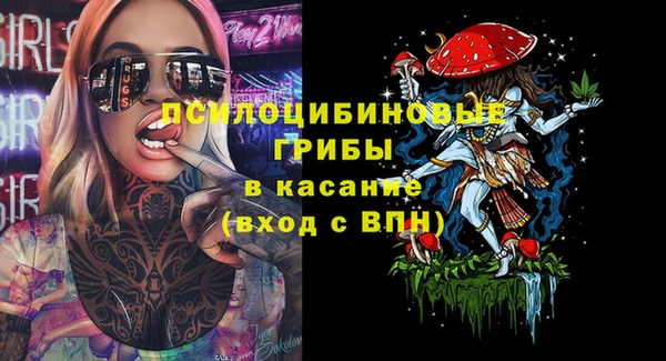 ГАЛЛЮЦИНОГЕННЫЕ ГРИБЫ Магас