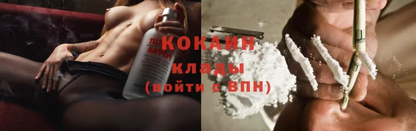 ГАЛЛЮЦИНОГЕННЫЕ ГРИБЫ Магас