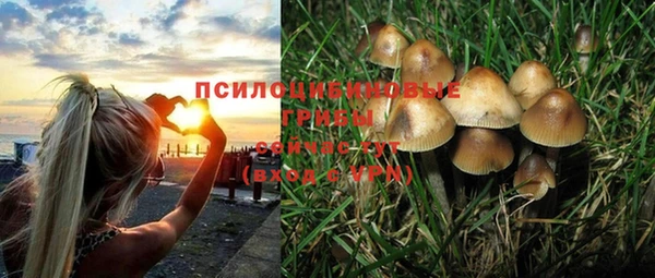 стафф Лихославль