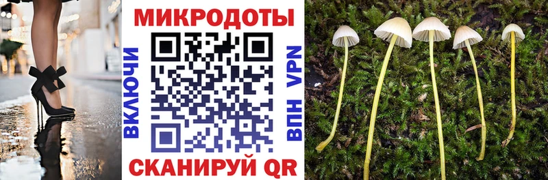 Галлюциногенные грибы Cubensis  Липецк 