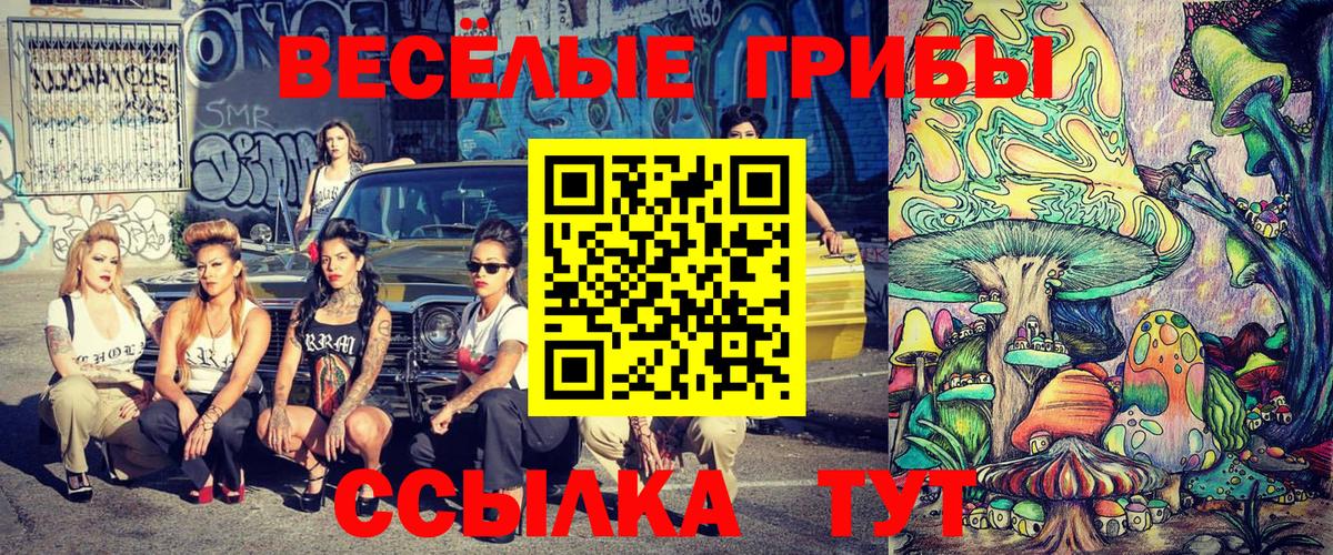 Липецк  Галлюциногенные грибы MAGIC MUSHROOMS  Вход с VPN 